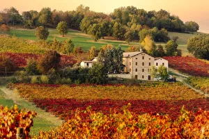 Lambrusco Grasparossa Vineyards and farmhouse in autumn, Castelvetro di Modena Lambrusco Grasparossa Vineyards and farmhouse in autumn, Castelvetro di Modena