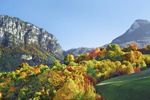 Landscape with deciduous forest in autumn colours - Italy, Trentino-Alto Adige Landscape with deciduous forest in autumn colours - Italy, Trentino-Alto Adige