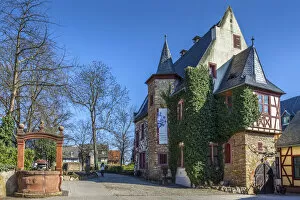 Winemaker Gallery: Langwerth von Simmern winery in Eltville, Rheingau, Hesse, Germany