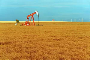 Fossil Fuel Gallery: Lentils. Red. Oil pump jacks Carmichael Saskatchewan, Canada