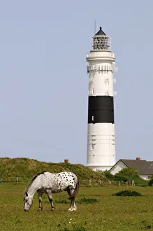 Lighthouse, Kampen, Sylt, Friesland, Schleswig-Holstein, Germany Lighthouse, Kampen, Sylt, Friesland, Schleswig-Holstein, Germany