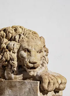 Lion Sculpture at the entrance to the Nuestra Senora de la Asuncion Cathedral Lion Sculpture at the entrance to the Nuestra Senora de la Asuncion Cathedral