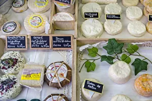 Local cheeses on sale in a gastronomy shop, LaAAIsle-sur-la-Sorgue, Provence, France Local cheeses on sale in a gastronomy shop, LaAAIsle-sur-la-Sorgue, Provence, France