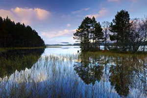 Loch Garten Reflections, Highland Region, Scotland Loch Garten Reflections, Highland Region, Scotland