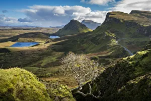 Lone bare tree at Quiraing with views of Loch Leum nu Luirginn and Loch Cleat, Isle Lone bare tree at Quiraing with views of Loch Leum nu Luirginn and Loch Cleat, Isle