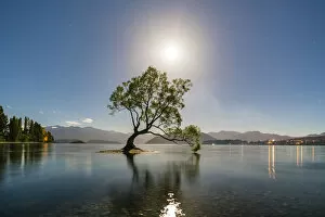 Images Dated 30th August 2018: The lone tree in Lake Wanaka under the moonlight. Wanaka, Queenstown Lakes district