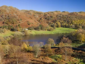 Loughrigg Tarn and Fell taken from Crag Head, Lake District National Park, Cumbria Loughrigg Tarn and Fell taken from Crag Head, Lake District National Park, Cumbria