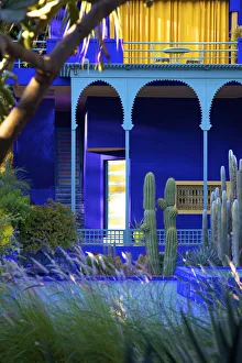 Majorelle Gardens, Marrakech, Morocco, North Africa Majorelle Gardens, Marrakech, Morocco, North Africa
