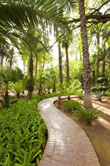 Majorelle Gardens, Marrakesh, Morocco, North Africa Majorelle Gardens, Marrakesh, Morocco, North Africa