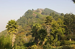 Malawi, Zomba. View from the exotic gardens of Ku Chawe Inn towards Zomba Mountain Malawi, Zomba. View from the exotic gardens of Ku Chawe Inn towards Zomba Mountain