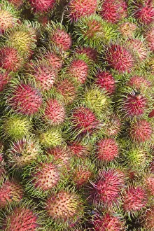 Malaysia, Lycee fruits - detail of Rambutan fruit Malaysia, Lycee fruits - detail of Rambutan fruit