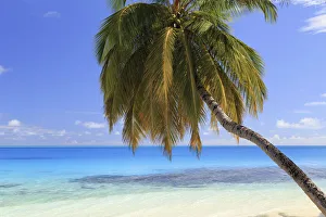 Maldives, South Ari Atoll, Mandhoo Island Maldives, South Ari Atoll, Mandhoo Island