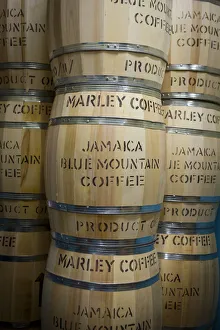Marley Coffee ready for export, Marley Coffee, Kingston, St. Andrew parish, Jamaica Marley Coffee ready for export, Marley Coffee, Kingston, St. Andrew parish, Jamaica
