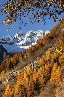 Masino valley in autumn, in the background Ferro peaks, Lombardy, Italy Masino valley in autumn, in the background Ferro peaks, Lombardy, Italy