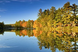 Megunticook Lake in Autumn, Camden, Maine, USA Megunticook Lake in Autumn, Camden, Maine, USA