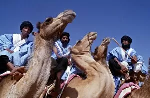 Related Images Collection: Meharistes, Soldiers Of The Desert, annual camel race