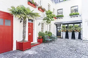 Mews Houses, Belgravia, London, England, UK Mews Houses, Belgravia, London, England, UK