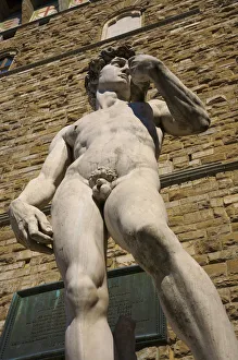 Michelangelos David, Piazza della Signoria, Palazzo Vecchio, Florence, Italy Michelangelos David, Piazza della Signoria, Palazzo Vecchio, Florence, Italy