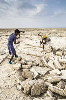 Two miners breaking up salt blocks in the salt flat, Danakil Depression, Afar Region Two miners breaking up salt blocks in the salt flat, Danakil Depression, Afar Region