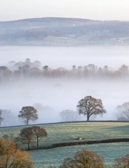 Mist covered countryside in the Exe Valley just north of Exeter, Devon, England. Winter Mist covered countryside in the Exe Valley just north of Exeter, Devon, England. Winter