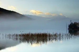 Mist over Loch Pityoulish, Highland Region, Scotland Mist over Loch Pityoulish, Highland Region, Scotland