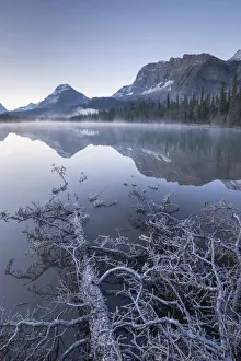Misty and frosty morning at Bow Lake in Banff National Park, Alberta, Canada Misty and frosty morning at Bow Lake in Banff National Park, Alberta, Canada