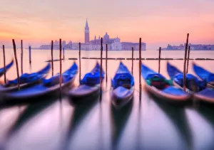 : Venice Collection