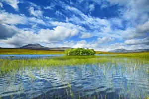 Moorland - United Kingdom, Scotland, Sutherland, Loch Awe - Highlands