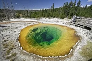 Images Dated 9th September 2007: Morning Glory Pool, Yellowstone National Park, Wyoming, USA