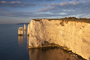 Morning sunshine illuminates Handfast Point on the Jurassic Coast, Dorset, England Morning sunshine illuminates Handfast Point on the Jurassic Coast, Dorset, England