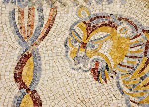 Mosaic Floor in Umm ar-Rasas, Amman Governorate, Jordan Mosaic Floor in Umm ar-Rasas, Amman Governorate, Jordan