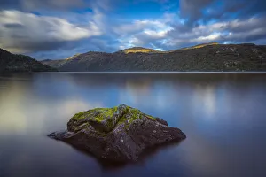 Moss on rock in Loch Lomond, Inveruglas, Loch Lomond and The Trossachs National Park Moss on rock in Loch Lomond, Inveruglas, Loch Lomond and The Trossachs National Park