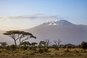 Kilimanjaro National Park Collection: Mount Kilimanjaro, Amboseli National Park, Kenya