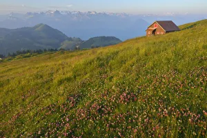 On top of Mount Rigi, Switzerland, North-Eastern Swiss Alps, Europe On top of Mount Rigi, Switzerland, North-Eastern Swiss Alps, Europe