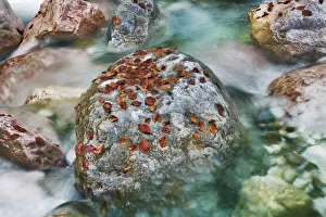 Mountain brook and rocks with autumn leaves - Austria, Carinthia, Hermagor Mountain brook and rocks with autumn leaves - Austria, Carinthia, Hermagor