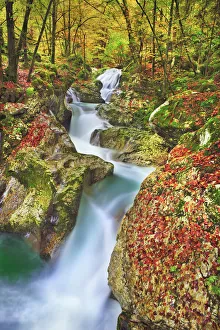 Mountain brook with waterfall in beech forest - Slovenia, Primorska, Soca, Lepena Mountain brook with waterfall in beech forest - Slovenia, Primorska, Soca, Lepena