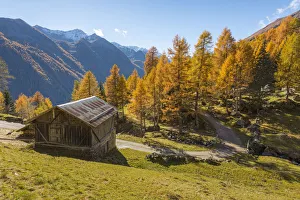 Mountain hut in autumn Europe, Italy, Trentino region, Trento district, Pejo valley Mountain hut in autumn Europe, Italy, Trentino region, Trento district, Pejo valley