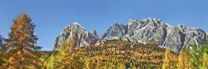 Mountain impression autumnal larch forest at Tofana de Rozes - Italy, Veneto, Belluno Mountain impression autumnal larch forest at Tofana de Rozes - Italy, Veneto, Belluno