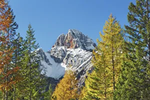 Mountain impression larch forest and Croda Rossa - Italy, Trentino-Alto Adige Mountain impression larch forest and Croda Rossa - Italy, Trentino-Alto Adige