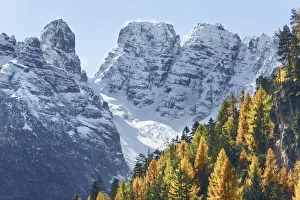 Mountain impression larch forest and Gruppo del Cristallo - Italy, Trentino-Alto Adige Mountain impression larch forest and Gruppo del Cristallo - Italy, Trentino-Alto Adige