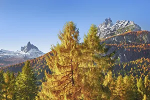 Mountain impression with larches in autumn - Italy, Veneto, Belluno Mountain impression with larches in autumn - Italy, Veneto, Belluno