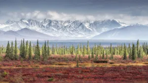 Boreal Forest Gallery: Mountain range from Denali highway, Alaska, in autumn