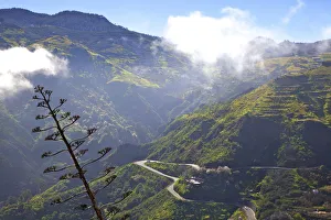 Mountain Region, Gran Canaria, Canary Islands, Spain, Atlantic Ocean, Europe Mountain Region, Gran Canaria, Canary Islands, Spain, Atlantic Ocean, Europe