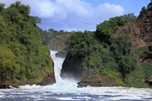 Related Images Collection: Murchison Falls national park, Uganda, East Africa