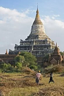 Images Dated 21st December 2008: Myanmar. Burma