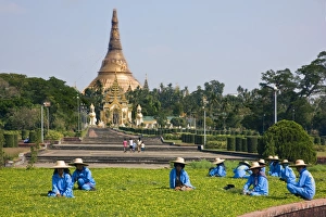 Myanmar, Burma, Yangon Myanmar, Burma, Yangon
