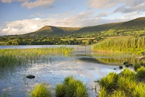 Mynydd Troed mountain from the sunlit shores of Llangorse Lake, Brecon Beacons National Mynydd Troed mountain from the sunlit shores of Llangorse Lake, Brecon Beacons National