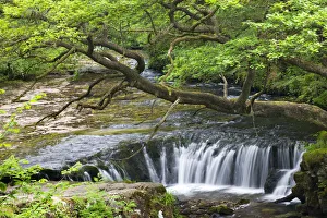 Mid Glamorgan Gallery: Related Images