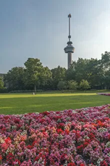 Holland Park Collection: Netherlands, South Holland, Rotterdam, Euromast