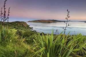 New Zealand, North Island, Northland, Hokianga Harbour New Zealand, North Island, Northland, Hokianga Harbour